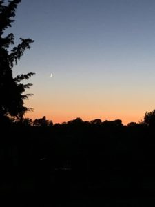 Venus and moon: Paul Read