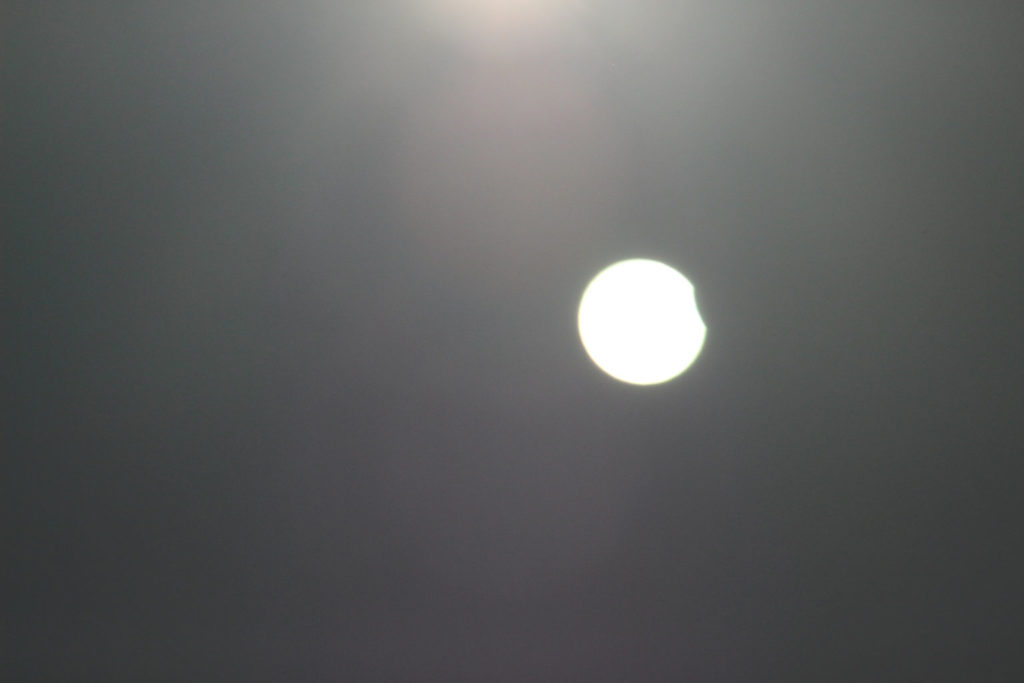 Solar eclipse: Trevor Wood