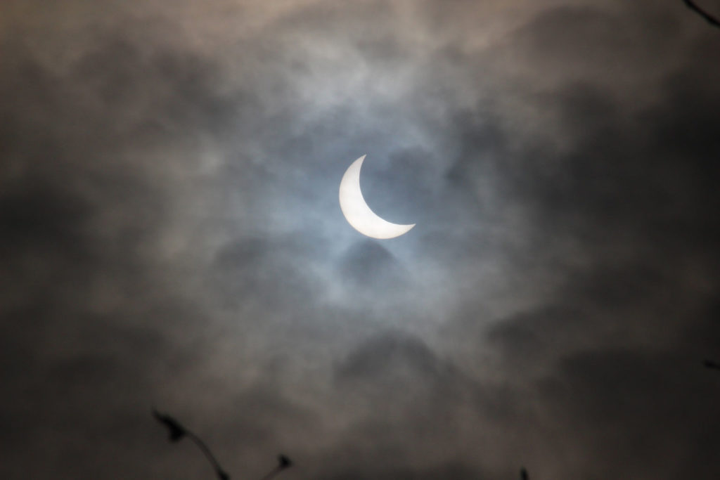 Solar eclipse: Trevor Wood