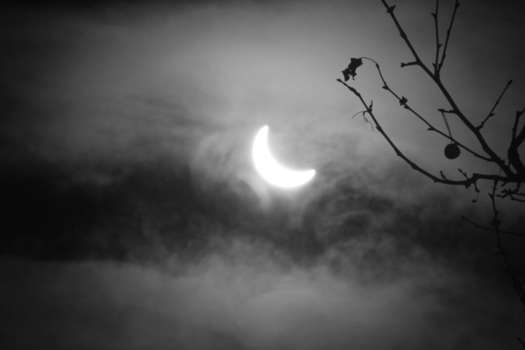 Solar eclipse: Trevor Wood