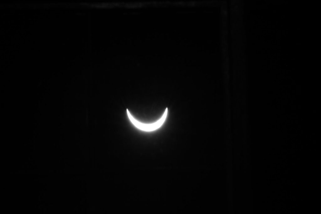 Solar eclipse: Trevor Wood
