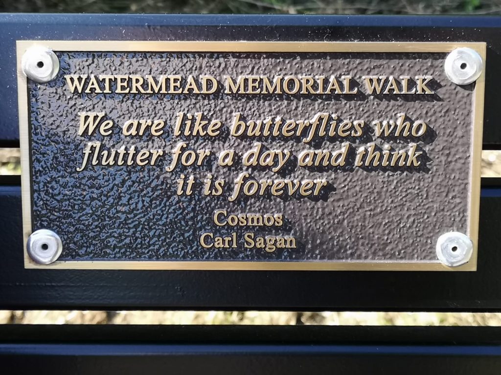 Carl Sagen quote