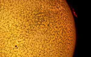 Sunspot and Prominence by Rob Jones
